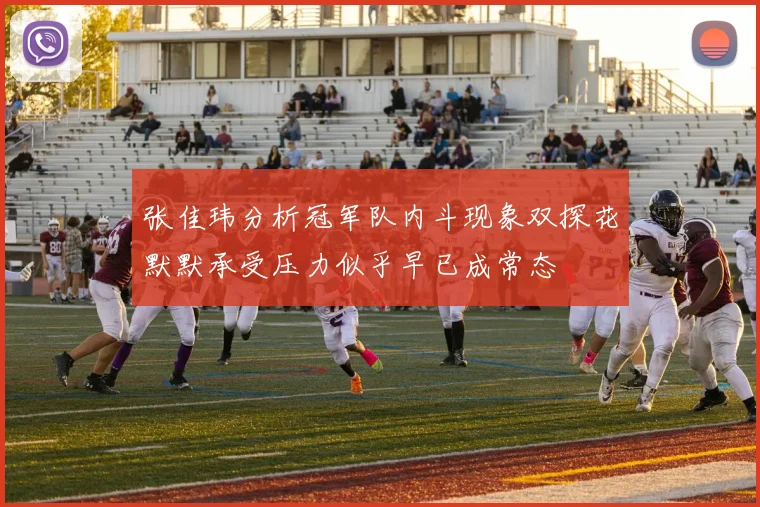 张佳玮分析冠军队内斗现象双探花默默承受压力似乎早已成常态